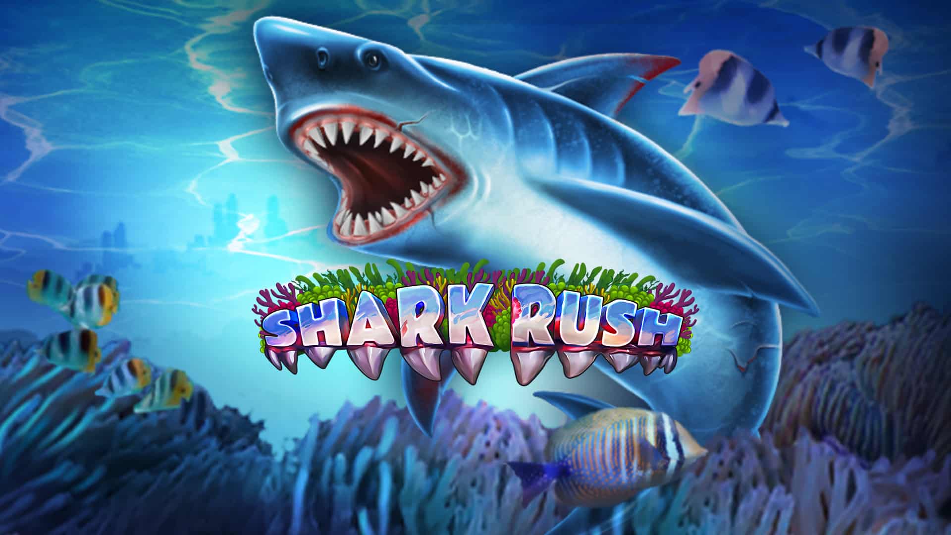 Shark Rush